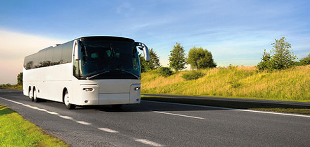 bus bus